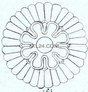 ROSETTE_0462